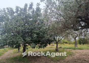 Terreno - Villa Bommiscuro SNC, Noto - foto 19