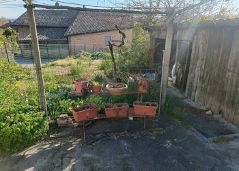 Casa indipendente Cocconato - foto 28