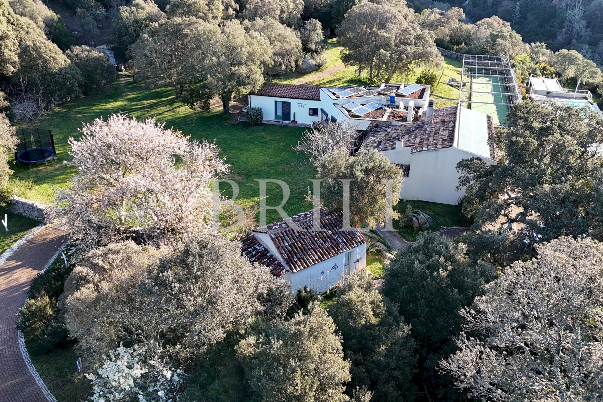 Farm San Biagio, Aglientu - photo 2