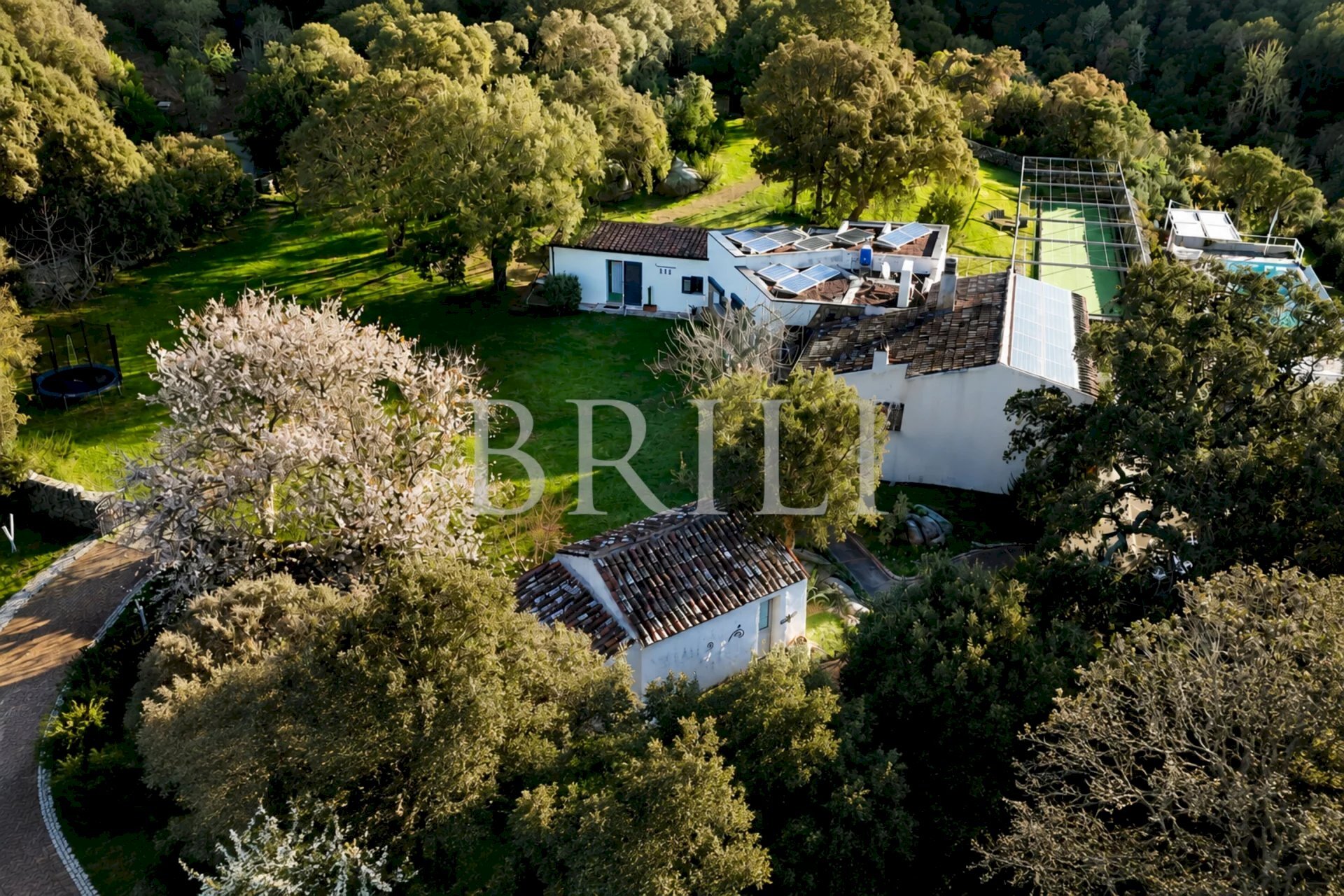 Azienda agricola San Biagio, Aglientu - foto 2