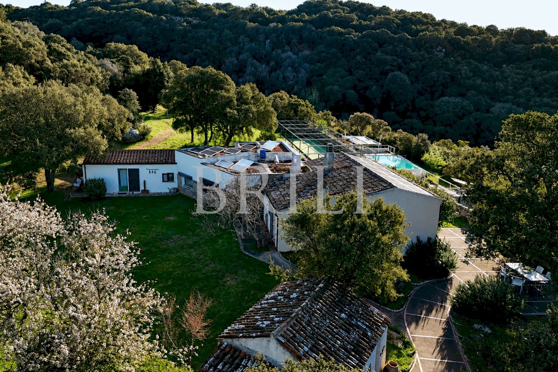 Azienda agricola San Biagio, Aglientu - foto 3