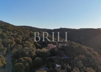 Farm Aglientu - photo 1