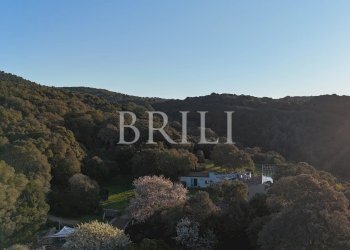 Farm Aglientu - photo 2