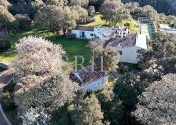 Farm Aglientu - photo 5