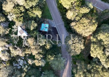 Farm Aglientu - photo 26