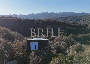 Farm Aglientu - photo 28