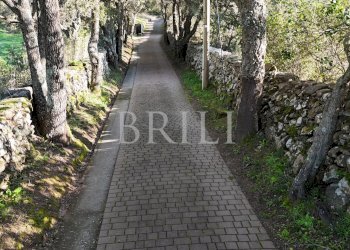 Farm Aglientu - photo 29