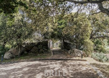 Farm San Biagio, Aglientu - photo 13