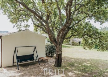 Farm San Biagio, Aglientu - photo 30