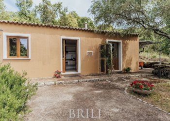 Farm San Biagio, Aglientu - photo 31