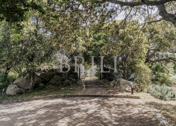 Farm San Biagio, Aglientu - photo 13