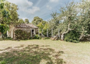 Farm San Biagio, Aglientu - photo 18
