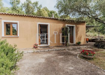 Farm San Biagio, Aglientu - photo 31