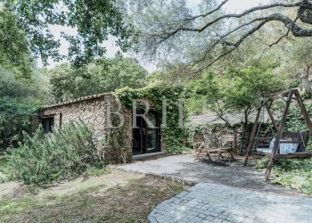 Farm San Biagio, Aglientu - photo 39