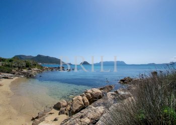 Villa a Schiera Golfo Aranci - foto 25