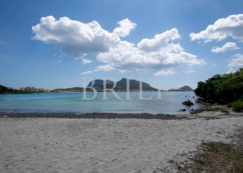 Villa a Schiera Golfo Aranci - foto 27