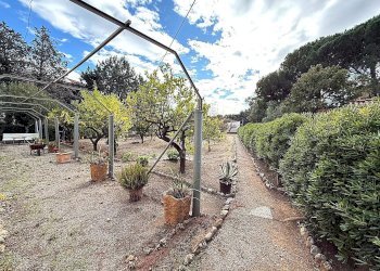 Villa Regione Oliveto Terraconiglio, Albenga - foto 6