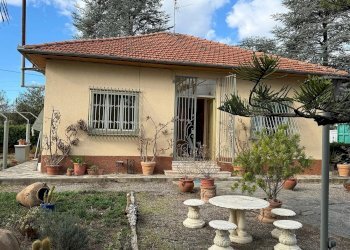 Villa Regione Oliveto Terraconiglio, Albenga - foto 12