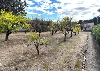Villa Regione Oliveto Terraconiglio, Albenga - foto 27