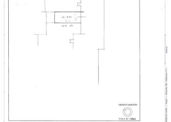 Quadrilocale frazione Milano 3, Basiglio - foto 31
