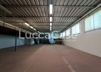 Shed Porcari - photo 9
