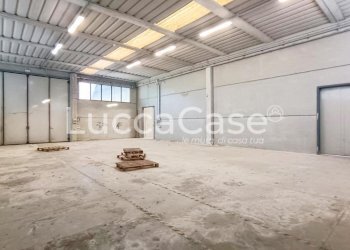 Shed Porcari - photo 12