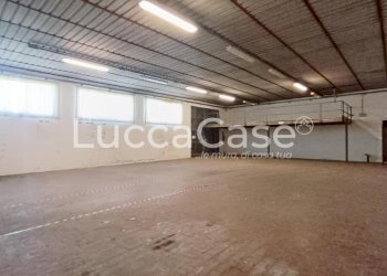 Shed Porcari - photo 15