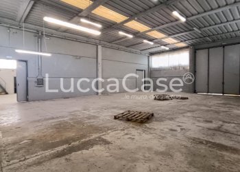 Shed Porcari - photo 17