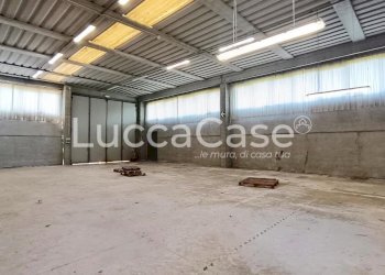 Shed Porcari - photo 18