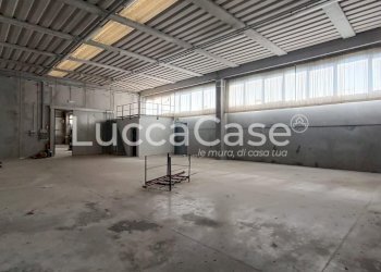 Shed Porcari - photo 20