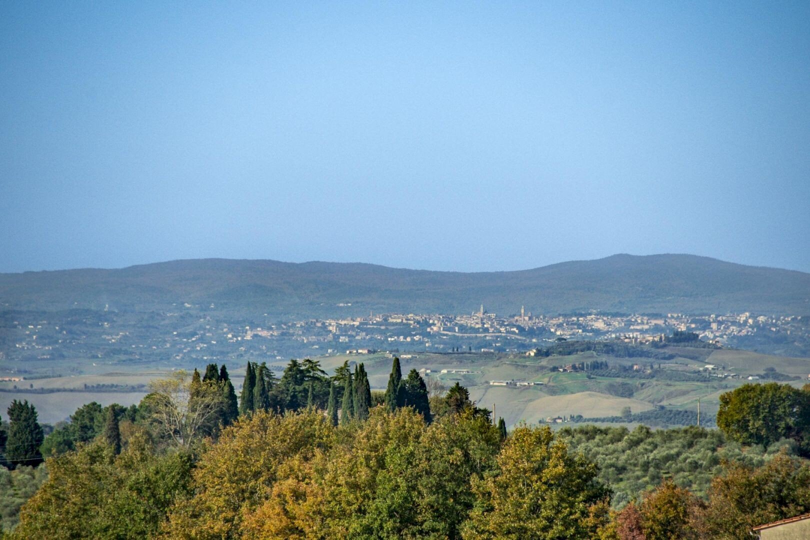 Villa Unifamiliare Strada Provinciale del Pecorile, SNC, Trequanda - foto 2
