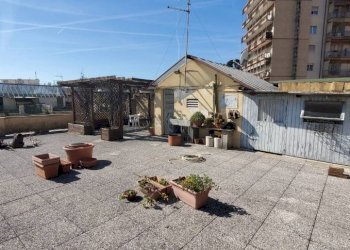 Appartamento Genova (zona Pegli) - foto 41