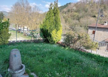 giardino - Trilocale via Quadalto, 57, Palazzuolo sul Senio - foto 14