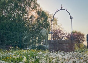 Dimora Storica via cà belfiore, Castenaso - foto 29