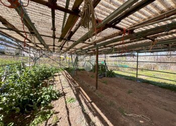 Casa indipendente Borgata Baronera, Giaveno - foto 6