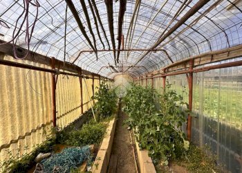 Casa indipendente Borgata Baronera, Giaveno - foto 7