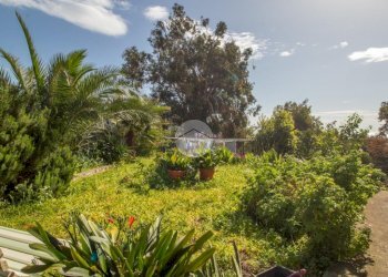 Appartamento Viale Vittorio Veneto, Imperia - foto 25