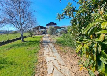 Casa indipendente Via vigellio, Salussola - foto 9