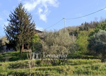 Foto 9 - Casa indipendente Catagnana, Barga - foto 9