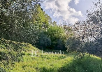 Foto 11 - Casa indipendente Catagnana, Barga - foto 11