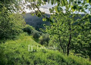 Foto 13 - Casa indipendente Catagnana, Barga - foto 13