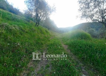 Foto 48 - Casa indipendente Catagnana, Barga - foto 48