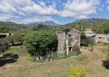 Foto 10 - Rustic Località Ardisani, Casal Velino - photo 10