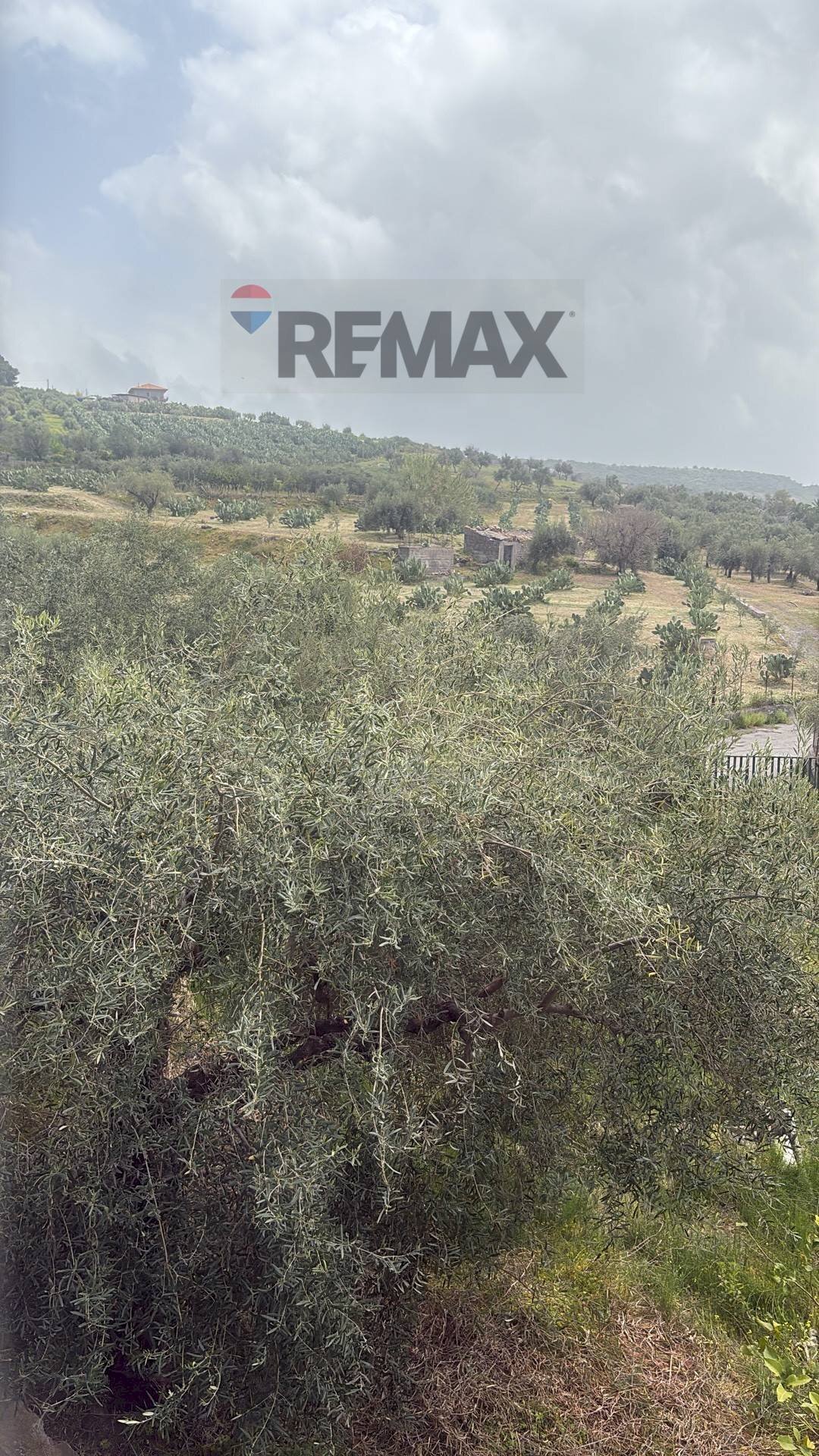 Edificio all\'aperto - Terreno agricolo SP 102ii
 
snc, Castel di Iudica - foto 2