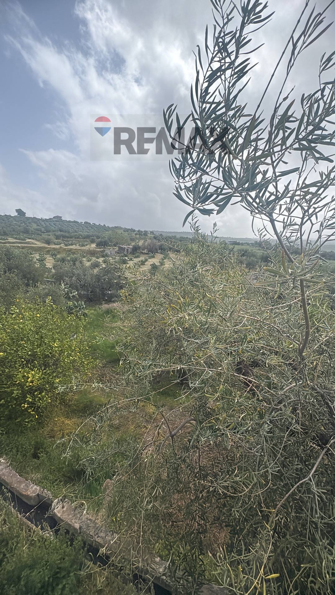 Vista delle montagne - Terreno agricolo SP 102ii
 
snc, Castel di Iudica - foto 3