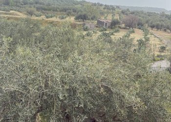 Edificio all\'aperto - Terreno agricolo SP 102ii
 
snc, Castel di Iudica - foto 2