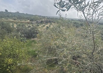 Vista delle montagne - Terreno agricolo SP 102ii
 
snc, Castel di Iudica - foto 3