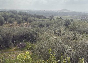 Vista delle montagne - Terreno agricolo SP 102ii
 
snc, Castel di Iudica - foto 4
