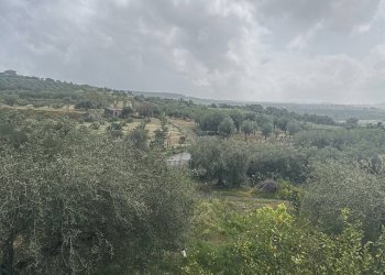 Edificio all\'aperto - Terreno agricolo SP 102ii
 
snc, Castel di Iudica - foto 7