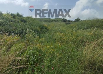 Vista delle montagne - Terreno agricolo SP 102ii
 
snc, Castel di Iudica - foto 8